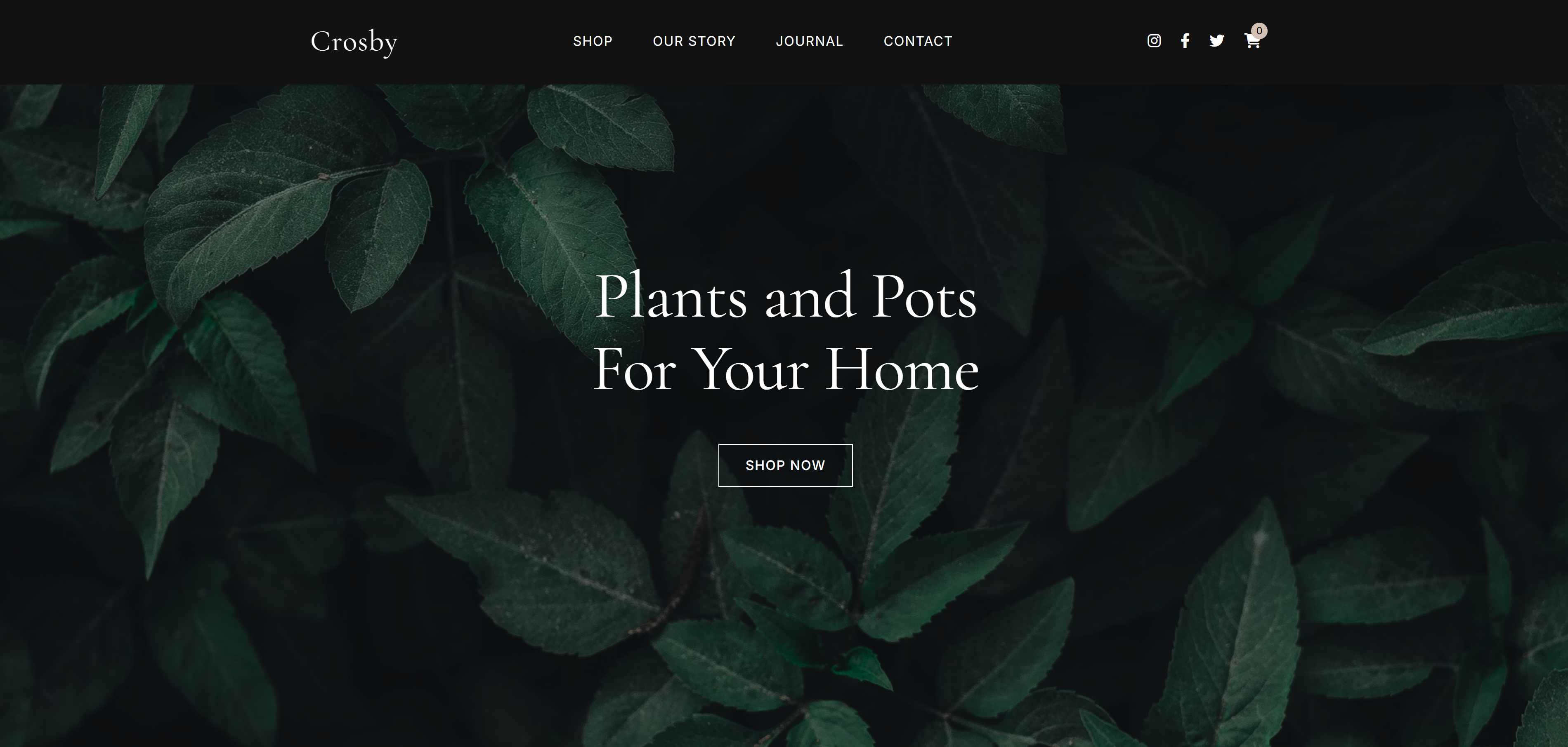 Website 4 Thumbnail